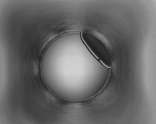 X0000114061260200910050948