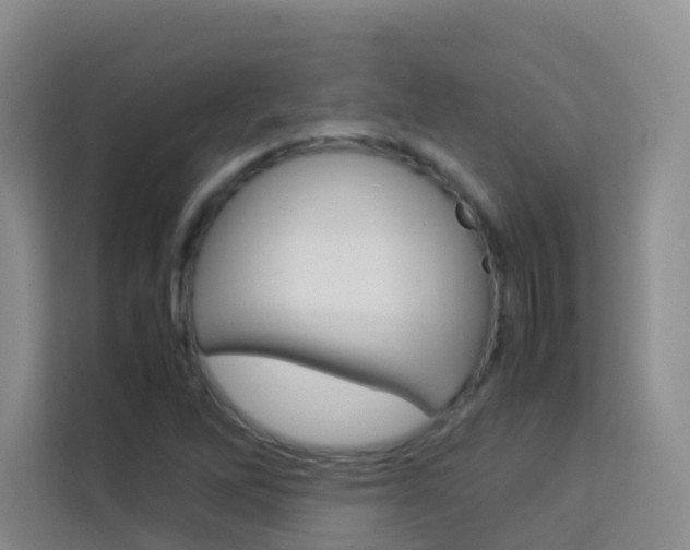 X0000114061262200910050948