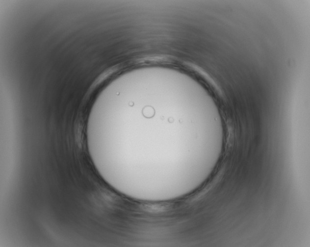 X0000114061266200910050948