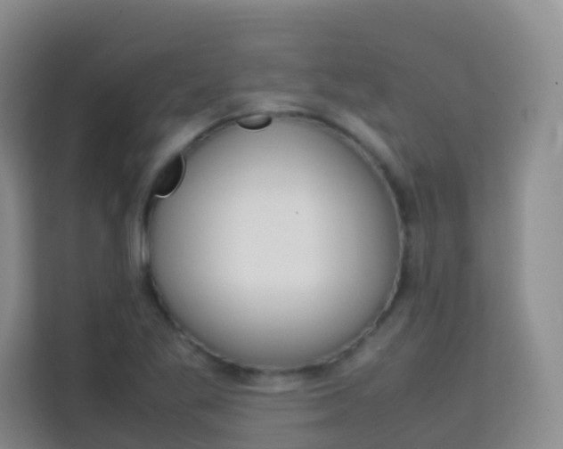 X0000114061269200910050948