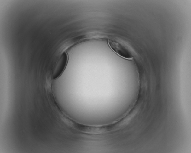 X0000114061273200910050948