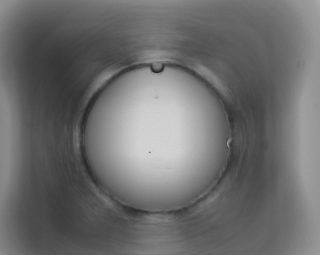 X0000114061277200910050948