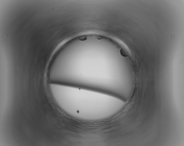 X0000114061279200910050948