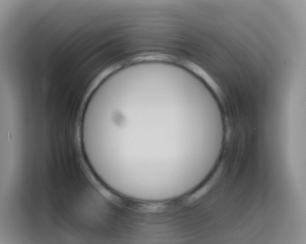 X0000114061282200910050948