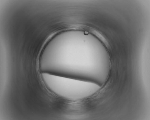 X0000114061283200910050948