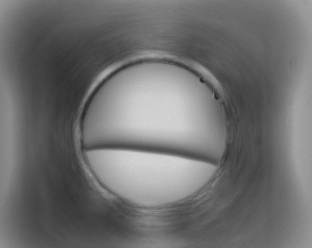 X0000114061287200910050948