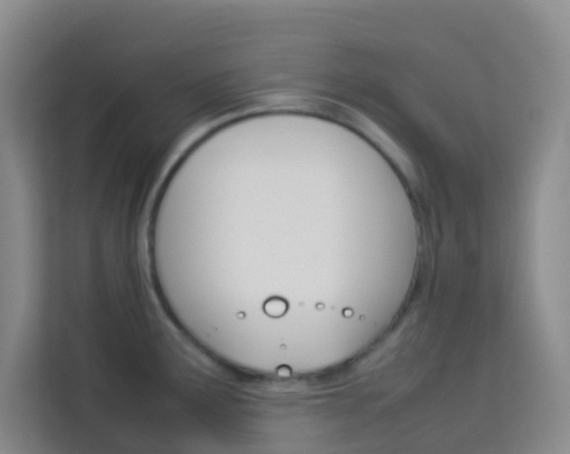 X0000114061291200910050948