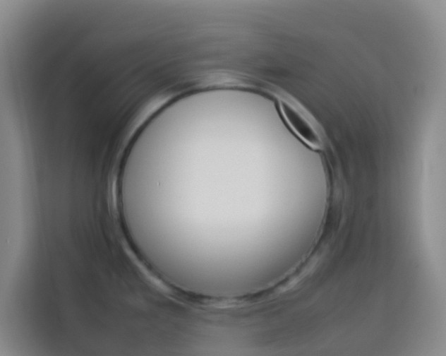 X0000114061293200910050948