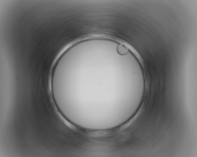 X0000114061294200910050948