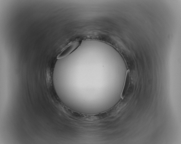 X0000114061298200910050947