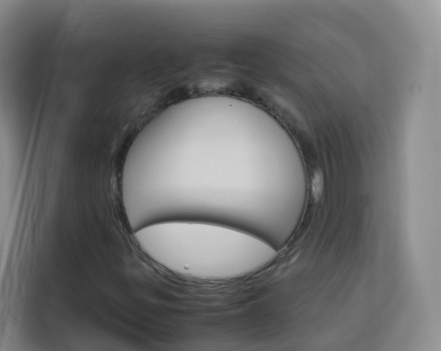 X0000114061299200910050947