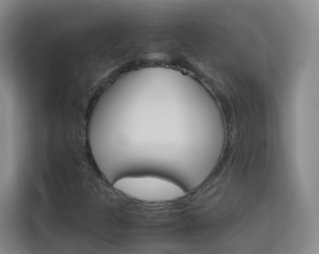 X0000114061301200910050947