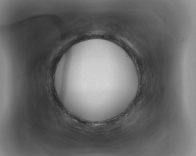 X0000114061303200910050947