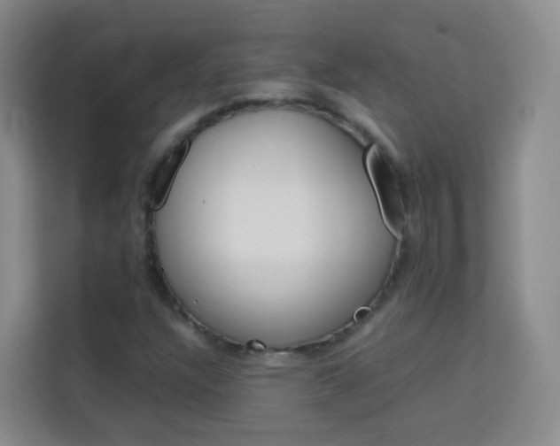 X0000114061304200910050947