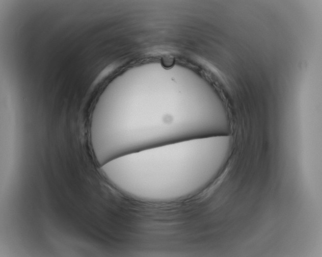 X0000114061306200910050947