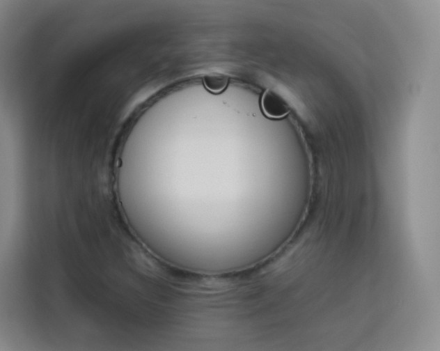 X0000114061308200910050947