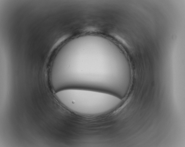 X0000114061309200910050947