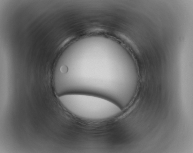 X0000114061313200910050947