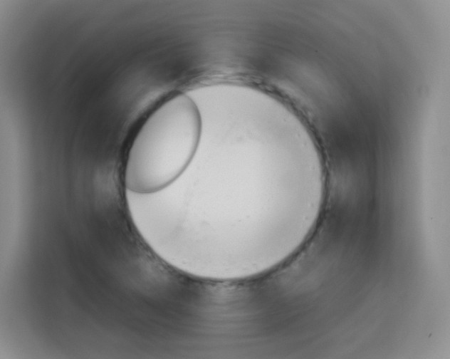 X0000114061314200910050947