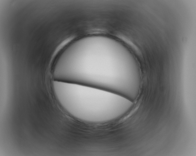 X0000114061317200910050947