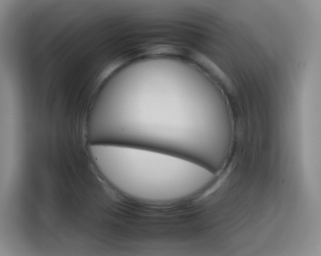X0000114061321200910050947