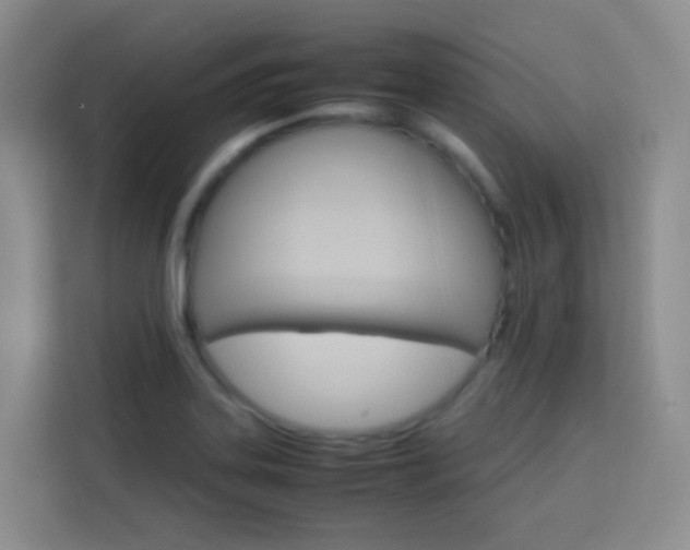 X0000114061323200910050947