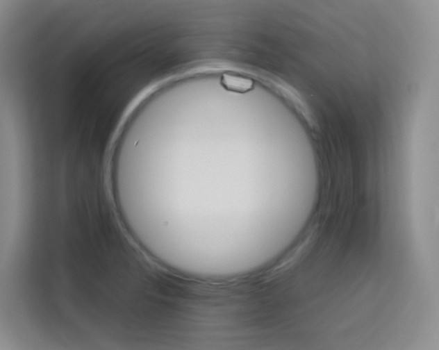 X0000114061326200910050948