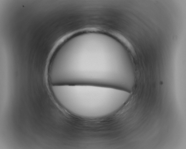 X0000114061327200910050948