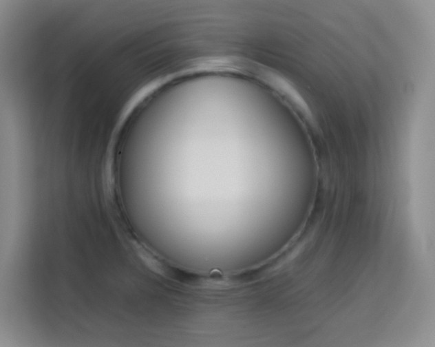 X0000114061328200910050948
