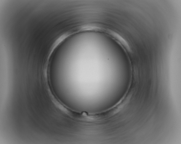 X0000114061330200910050948