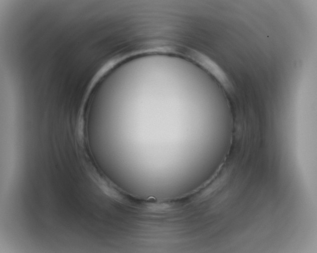 X0000114061332200910050948