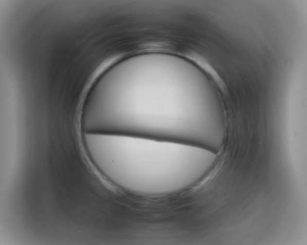 X0000114061333200910050948