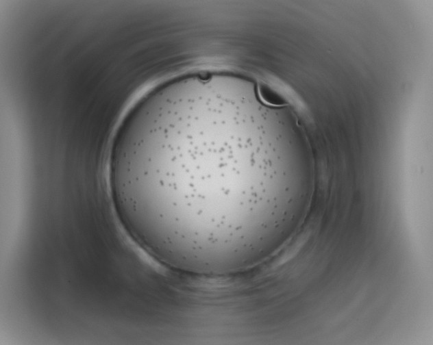 X0000114061334200910050948