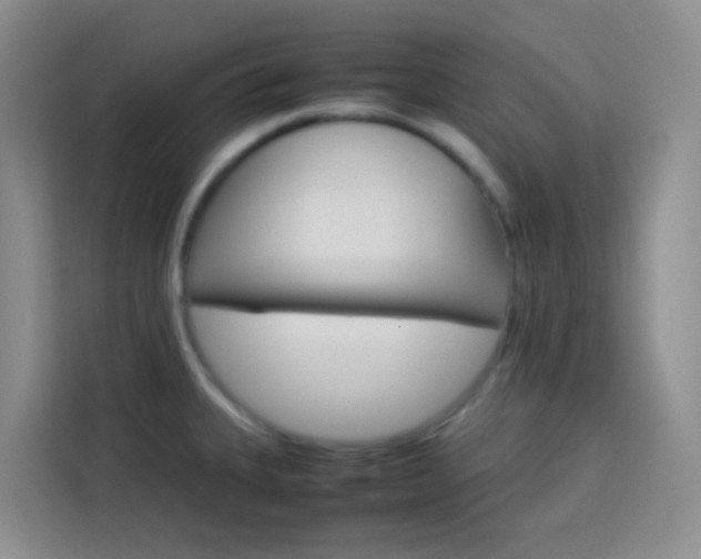 X0000114061335200910050948