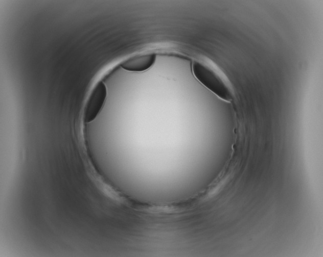 X0000114061336200910050948
