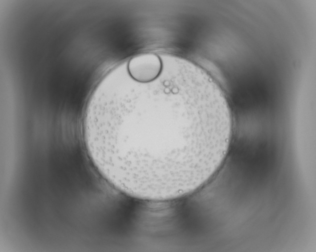 X0000114061338200910050948