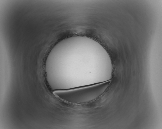 X0000114061345200910050947