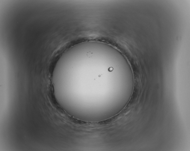 X0000114061349200910050947