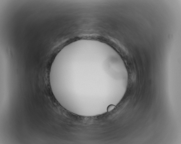 X0000114061350200910050947