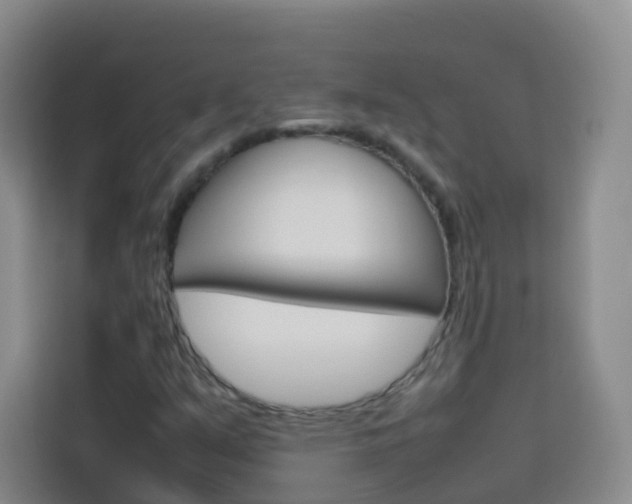 X0000114061351200910050947