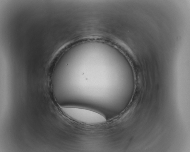 X0000114061352200910050947