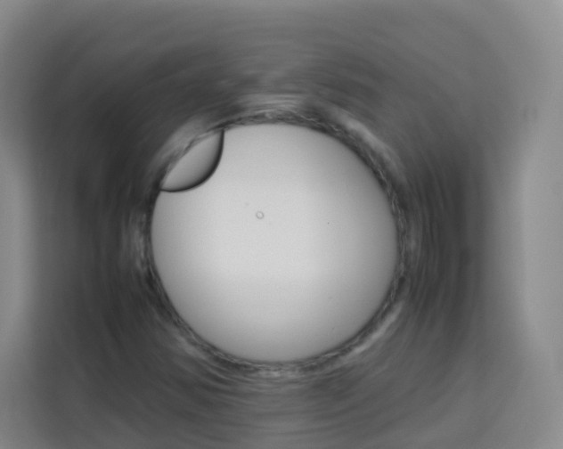 X0000114061354200910050947