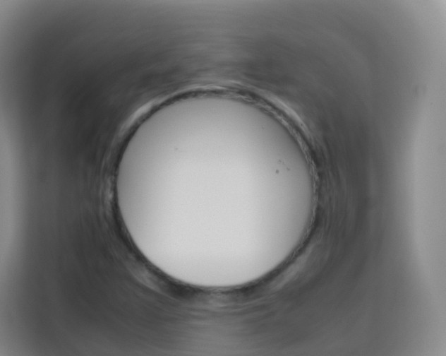 X0000114061355200910050947
