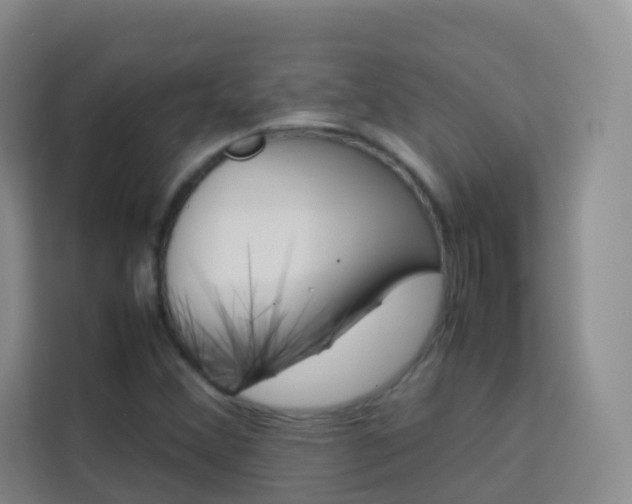 X0000114061356200910050947