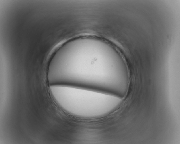 X0000114061359200910050947
