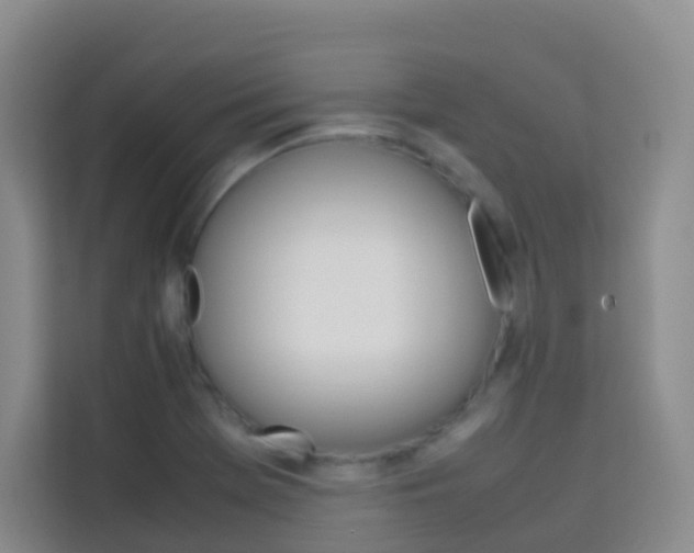 X0000114061369200910050947