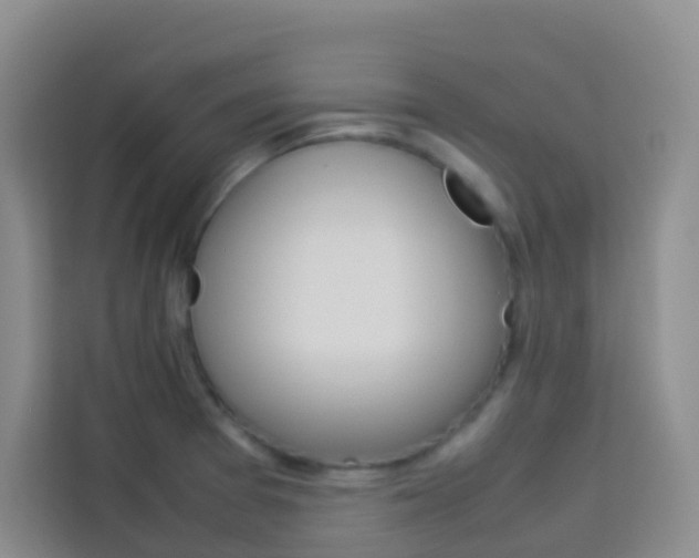 X0000114061377200910050947