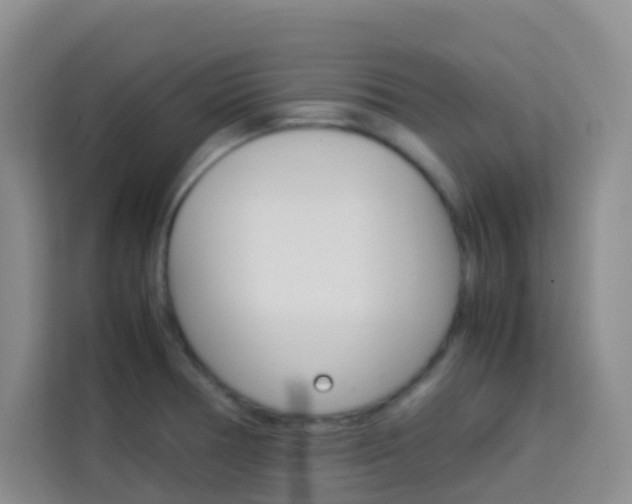 X0000114061378200910050947