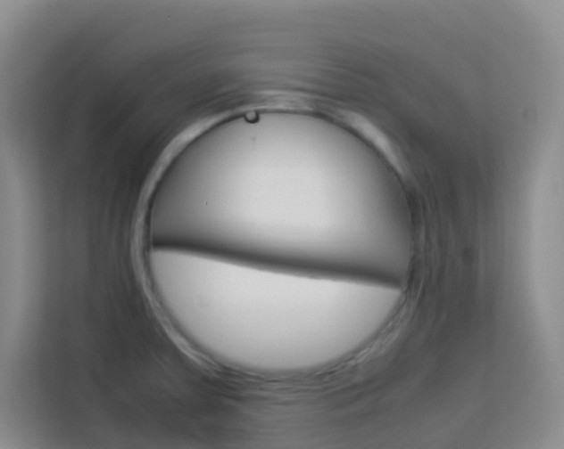 X0000114061379200910050947