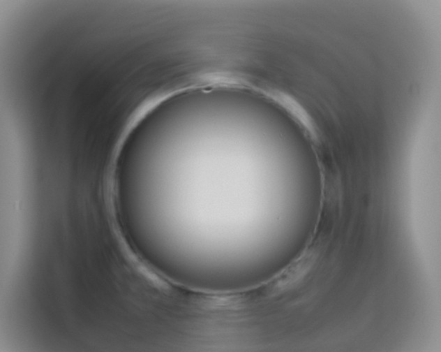 X0000114061381200910050947